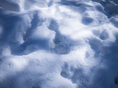 Beautiful snow surface with abstract shadows