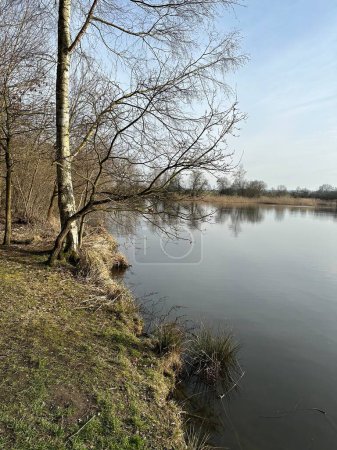 Das Ufer eines Sees im zeitigen Frühling mit kahlen Bäumen und blauem Himmel - Natalie Franzensbad