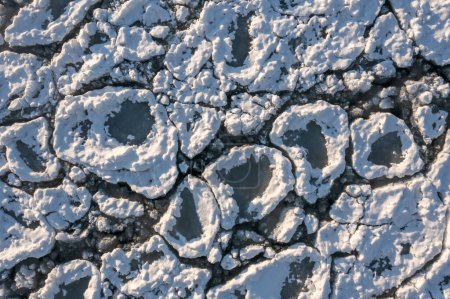 Téléchargez les photos : Close up top down view of rounded chunks of ice covered in snow floating on the cold water of Lake Michigan making a great winter background with copy space. - en image libre de droit