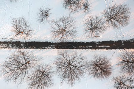 Téléchargez les photos : Top down close up aerial view of bare deciduous trees lit with the glow of the setting sun lining a paved bike or running path in winter with bright white snow with footprints covering the ground. - en image libre de droit