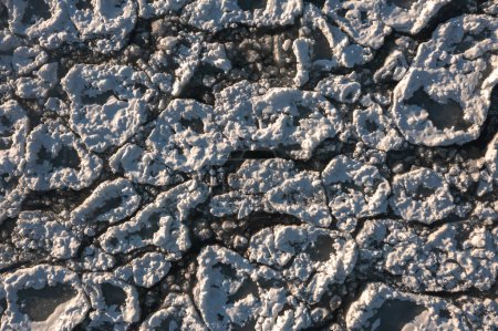 Téléchargez les photos : Top down close up aerial view of circular or rounded snow and ice chunks coined "ice pancakes" by locals sitting on the cold waters of Lake Michigan creating a fantastic winter or textured background. - en image libre de droit