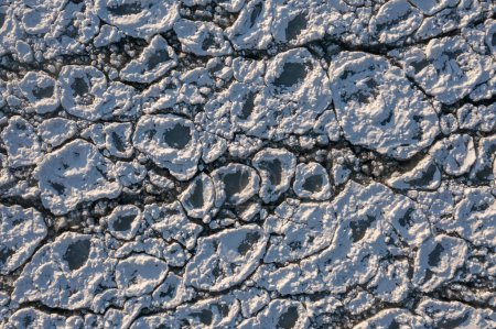 Foto de Close up top down view of rounded ice chunks encrusted in white snow floating on top of the water of Lake Michigan in winter season. - Imagen libre de derechos
