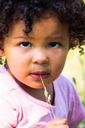 Téléchargez les photos : A closeup face portrait of a young mixed race African American girl with dark brown curly hair looking at the camera with her beautiful big brown eyes as she sticks a piece of grass in her mouth. - en image libre de droit