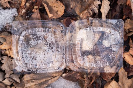 Photo for Close up photograph of an abandoned clear plastic sandwich container litter garbage with moisture accumulating on the ribbed lids laying on leaves and snow. - Royalty Free Image