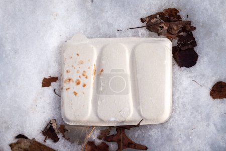 Téléchargez les photos : A close up photograph of an upside down three compartment textured paper plate litter in the snow and leaves in winter with moisture and bits of food on the bottom. - en image libre de droit