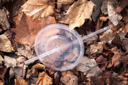 Téléchargez les photos : A generic clear plastic straw and soft drink lid trash or litter lays in a pile of leaves. - en image libre de droit