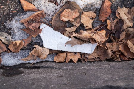 Foto de Un primer plano de un pedazo desgarrado de basura de poliestireno extruido o basura de una taza blanca puesta en un montón de hojas y nieve derretida. - Imagen libre de derechos