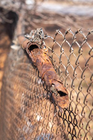 Téléchargez les photos : Gros plan d'un tuyau supérieur d'une clôture à mailles métalliques rouillées et endommagées par la corrosion et brisées par de grandes quantités de rouille brune et orange qui s'écaillent par une journée ensoleillée. - en image libre de droit