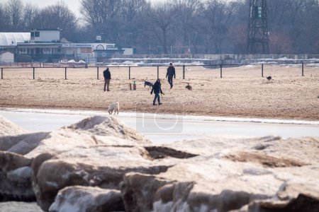 Foto de Chicago, IL - February 8th, 2023: A few dog owners take their pets to the Montrose Dog Beach on a sunny day as the last bits of snow and ice begin to melt along the Lake Michigan shoreline. - Imagen libre de derechos