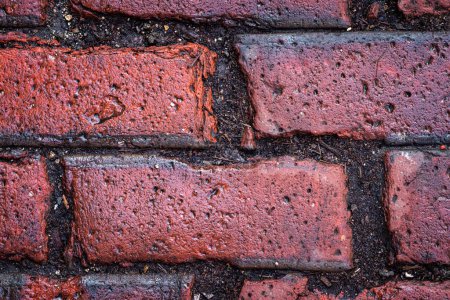 Photo for Close up of wet old weathered textured red brick pavers with brown mud and dirt in the irregular joints making a great textured background photograph. - Royalty Free Image