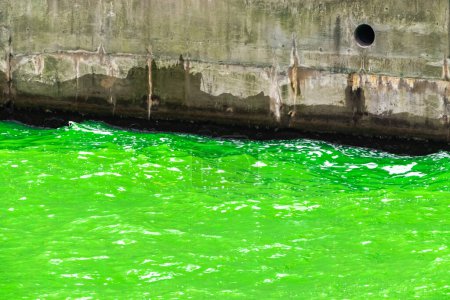Téléchargez les photos : Photographie rapprochée de l'eau vert vif de la rivière Chicago avec des vagues éclaboussant le rivage en béton lors de l'événement annuel de teinture de la rivière pour la fête de la Saint-Patrick. - en image libre de droit