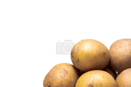 Photo for A close up photograph of a pile of raw yellow and brown russet potatoes in bottom right corner with white background and copy space. - Royalty Free Image
