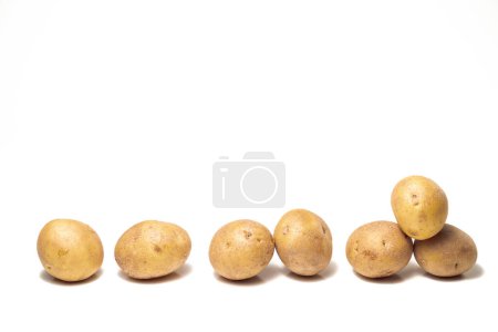 Téléchargez les photos : Photographie de plusieurs pommes de terre roussâtres jaunes et brunes disposées en rangée isolée sur un fond blanc avec espace de copie au-dessus. - en image libre de droit