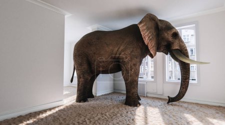 Strong elephant in the small room with beach sand on the ground as a funny space problem concept image