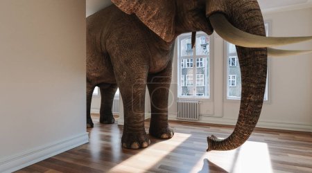 Foto de Elefante grande en la habitación pequeña como una imagen de concepto de problema de espacio divertido - Imagen libre de derechos