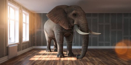 Foto de Gran elefante tranquilo en un apartamento con paredes planas de paneles de yeso como una divertida falta de espacio y la imagen concepto de mascotas - Imagen libre de derechos