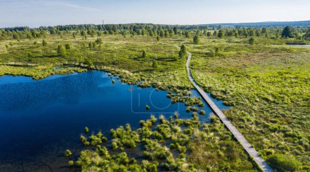 Téléchargez les photos : Panorama paysage de lande de punaises comme un panorama au Hohes Venn avec lac, arbres et un sentier - en image libre de droit