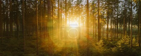 Téléchargez les photos : Chemin dans le panorama de la forêt avec la lumière du coucher du soleil - tir aérien de drone - en image libre de droit