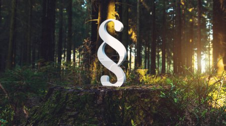 Paragrafensymbol Gerechtigkeitsschild im Wald am Baumstamm
