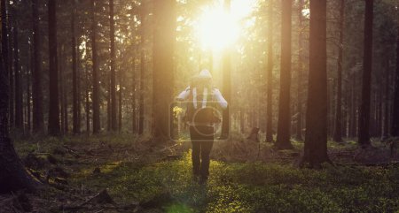 Téléchargez les photos : Coucher de soleil ensoleillé dans les bois avec jeune randonneur - en image libre de droit