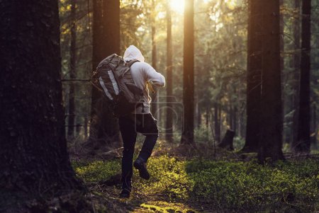 Téléchargez les photos : Homme randonnée dans les bois et le soleil brille à travers la forêt - en image libre de droit