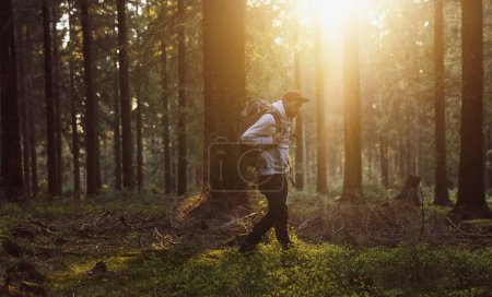 Téléchargez les photos : Jeune randonneur randonnée dans une forêt à la journée ensoleillée - en image libre de droit