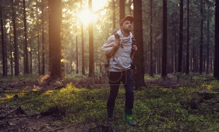 Téléchargez les photos : Randonneur avec sac à dos se promène dans la forêt par une journée ensoleillée - voyageur explorer paysage concept image - en image libre de droit
