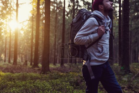 Téléchargez les photos : Jeune homme marchant dans une forêt et regardant autour, image concept nature et exploration - en image libre de droit