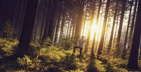 Téléchargez les photos : Le jeune homme regarde dans la forêt profonde et apprécie la nature et la lumière du coucher du soleil - Travel Lifestyle concept émotionnel - en image libre de droit