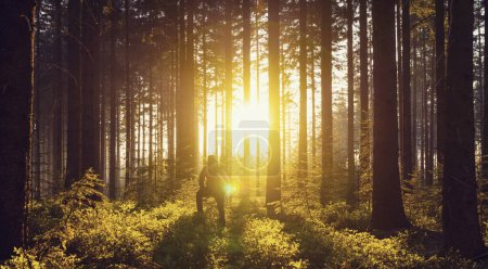 Téléchargez les photos : Jeune homme regarde dans la forêt et profite de la lumière du coucher du soleil - en image libre de droit