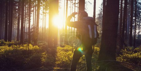 Téléchargez les photos : Jeune homme randonnée sur un sentier dans les bois - en image libre de droit