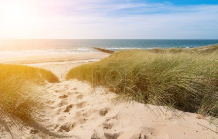 Foto de Vista desde las dunas hasta el océano en Renesse, Domburg, Zelanda, Holanda - Imagen libre de derechos