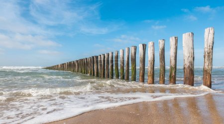 Téléchargez les photos : Paysage de plage aux Pays-Bas - en image libre de droit