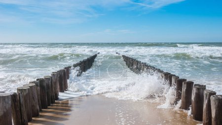 Téléchargez les photos : Vue sur l'océan avec brise-lames et vagues - en image libre de droit