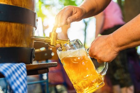 Serveuse bavaroise à Tracht, Dirndl verse une grande bière blonde dans le robinet du tonneau de bière en bois dans le jardin de la bière. Contexte pour Oktoberfest, festival folklorique ou de la bière (en allemand pour : Ozapft est!) 