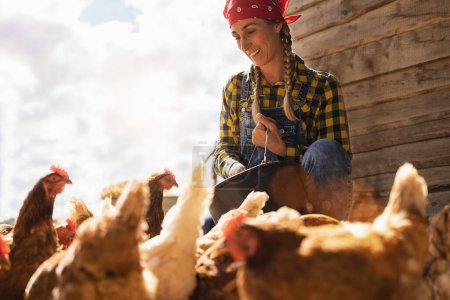 Photo for Proud chicken famer woman with bucket feeding chickens at the farm - Royalty Free Image