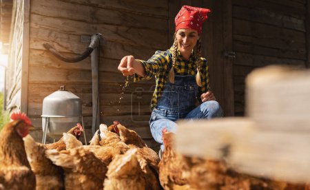 Photo for Happy chicken famer woman with bucket feeding chickens at the farmside - Royalty Free Image