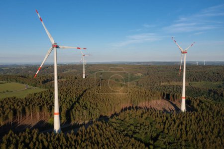 Wind turbines towering over a forested landscape with shadows cast by the evening sun. Renewable energy concept image
