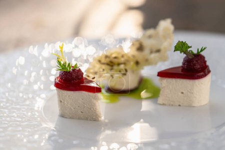 Nahaufnahme einer luxuriösen Vorspeise auf einem weißen Teller im Restaurant, elegante kulinarische Präsentation. Food Fotografie Konzeptbild