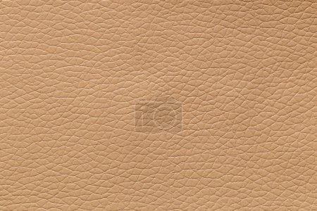 Photo for Gray leather and a textured background. - Royalty Free Image