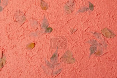Photo for Mulberry paper texture background in close-up. - Royalty Free Image