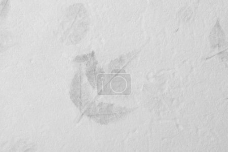 Photo for Mulberry paper texture background in close-up. - Royalty Free Image