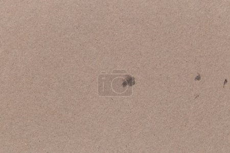 Photo for Gray paper sheet texture cardboard background. - Royalty Free Image