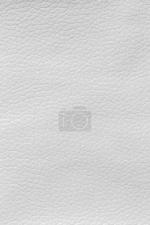 Téléchargez les photos : Cuir blanc et fond texturé. - en image libre de droit