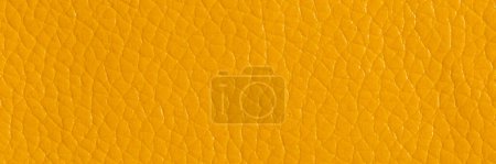 Photo for Yellow leather and a textured background, wide banner. - Royalty Free Image