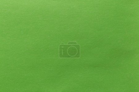 Photo for Green paper sheet texture cardboard background. - Royalty Free Image