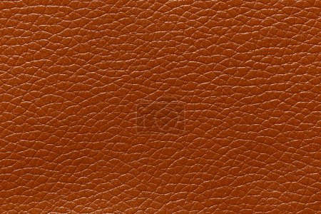 Foto de Brown leather and a textured background. - Imagen libre de derechos