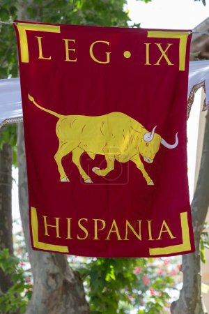 Téléchargez les photos : Vue verticale de la bannière de la IXe légion romaine, hispanie - en image libre de droit
