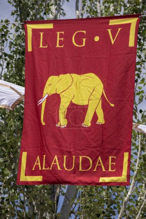 Téléchargez les photos : Vue verticale de la bannière de la V légion romaine, alaudae - en image libre de droit