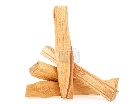 Sticks of Palo Santo tree isolated on a white background. Organic holy tree incense from Latin America.